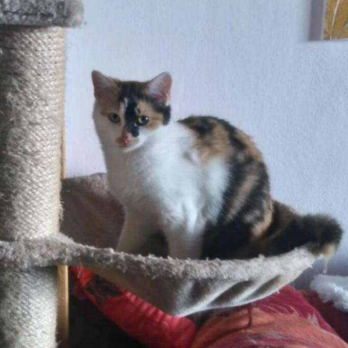 Baruška