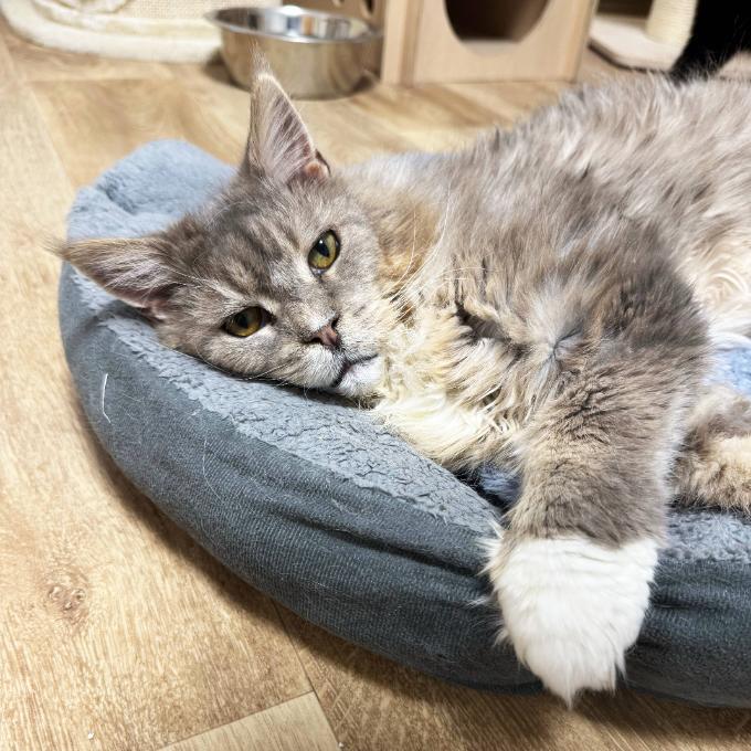Luna