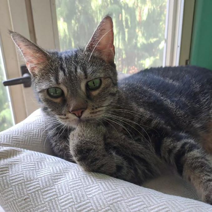 Suki