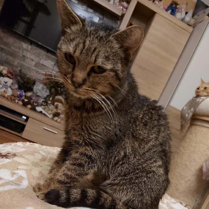 Dáša