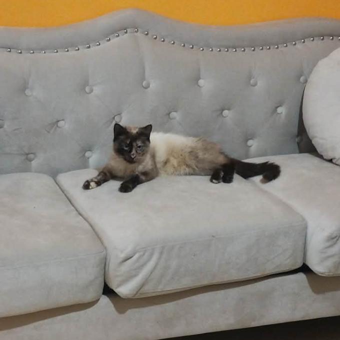 Laura