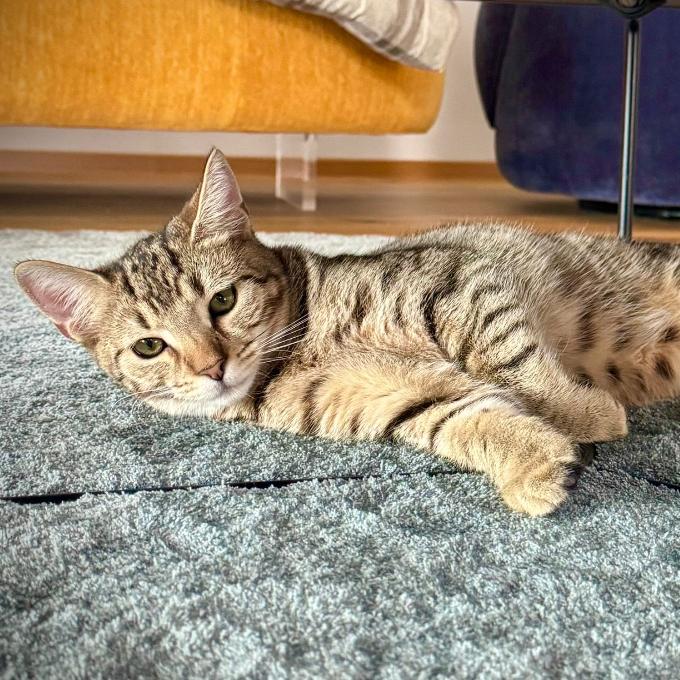 Hubert