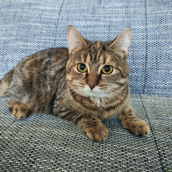 Annie