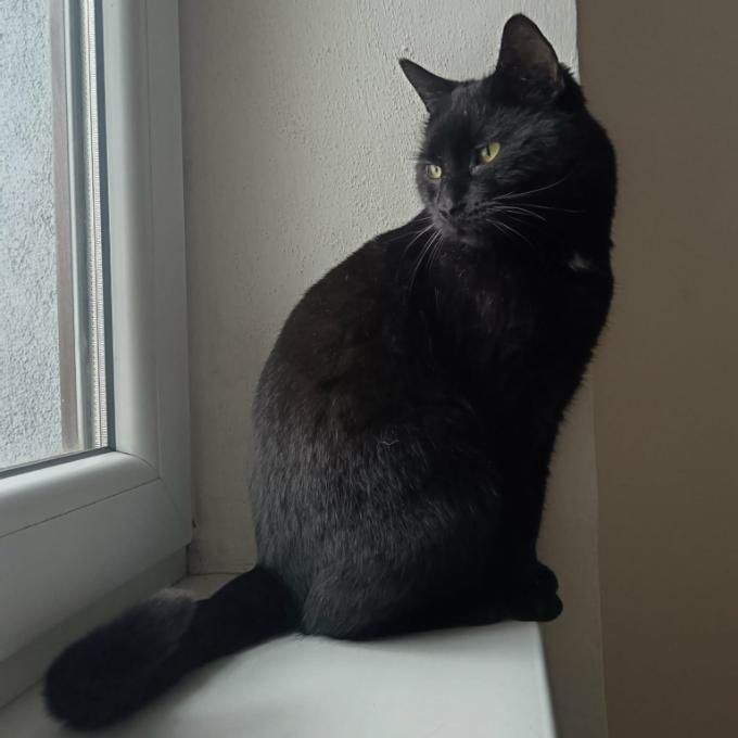 Oliver