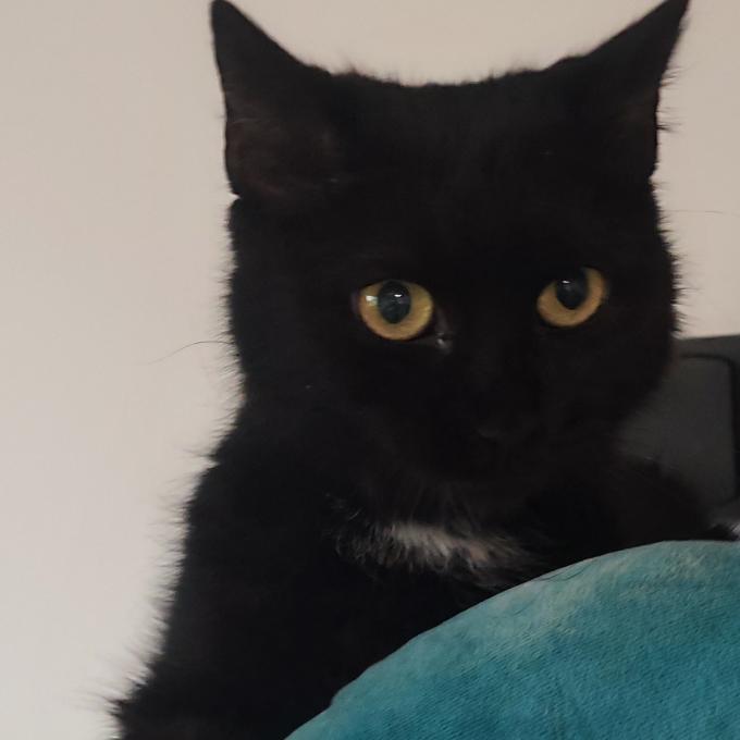 Lili