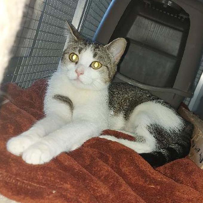 Mia