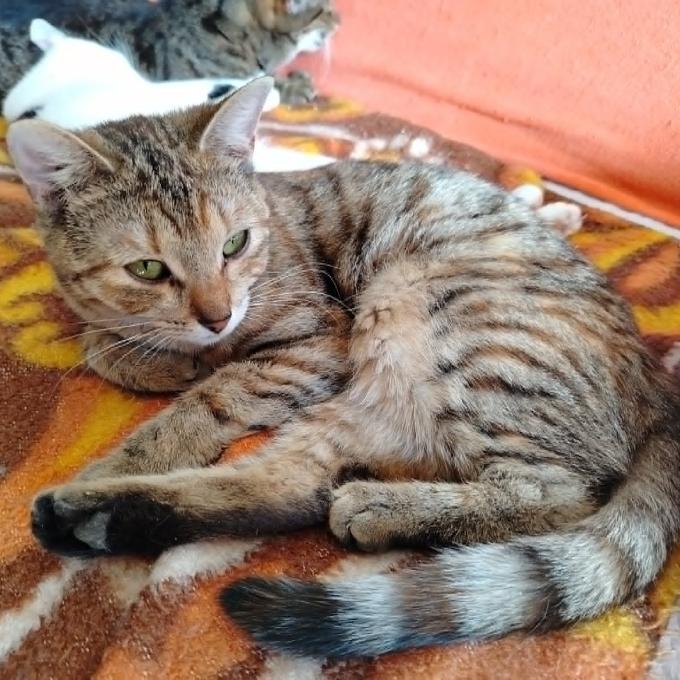Zina