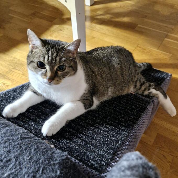 Ochrnutá Bublinka