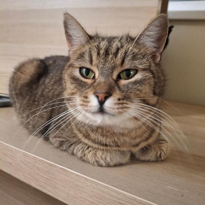 Oliver