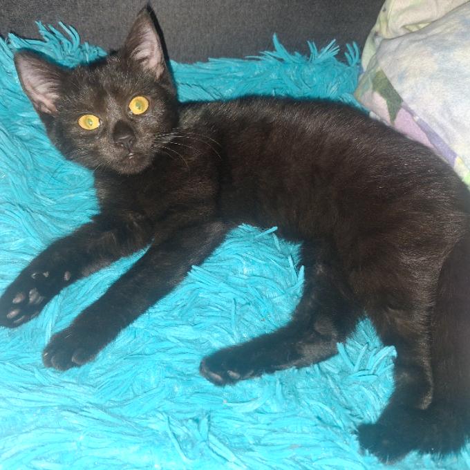 Lili