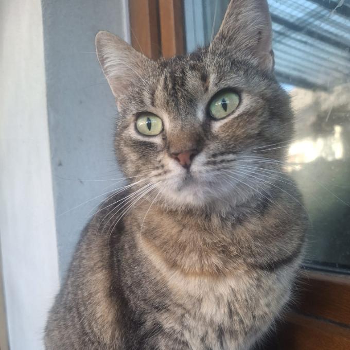 Maruška