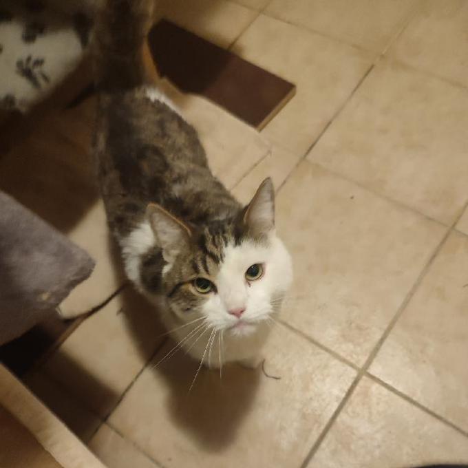 Hubert