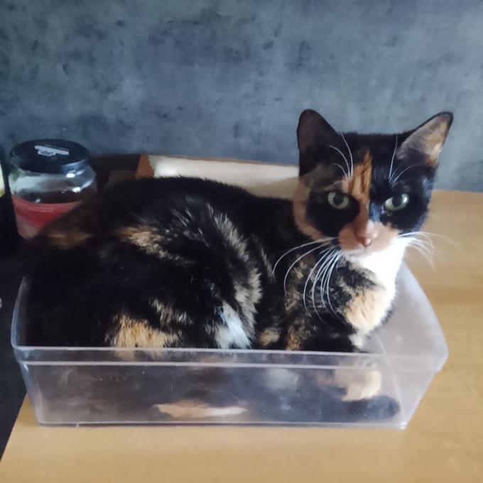 Slávinka