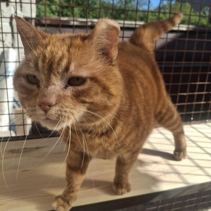Kilián