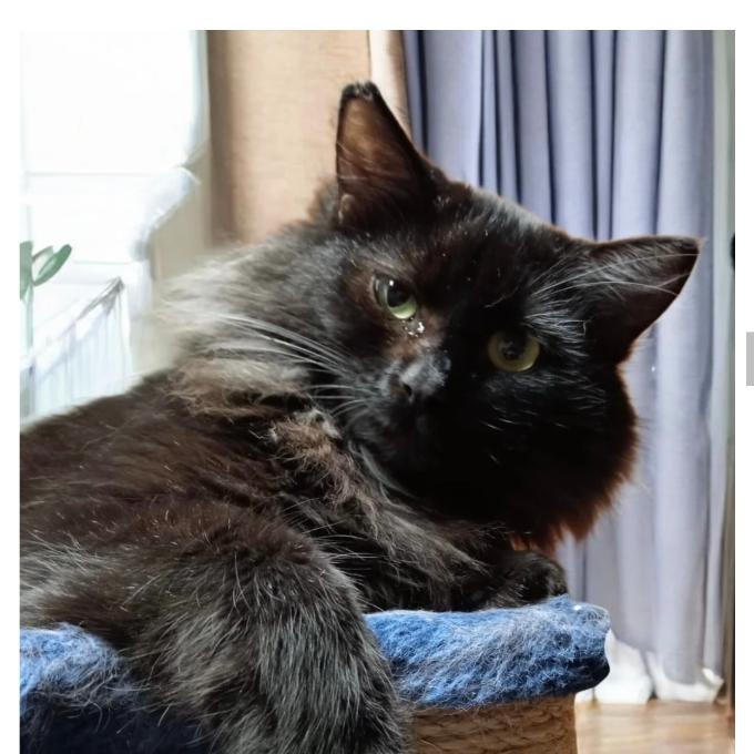 Tammy
