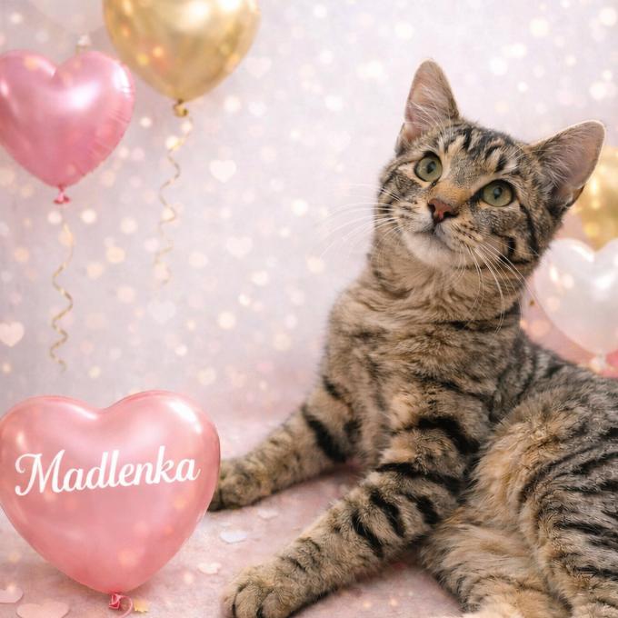 Madlenka