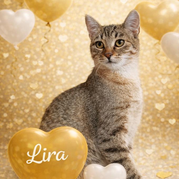 Lira