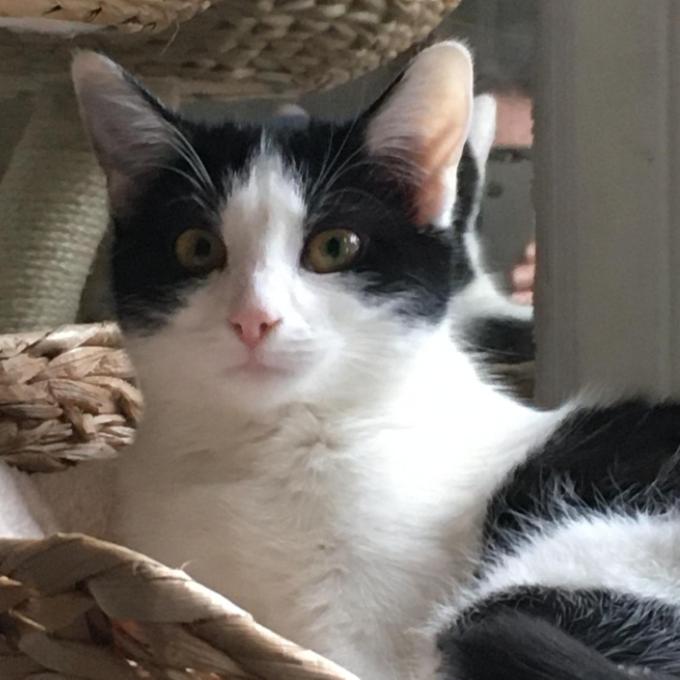 Amy