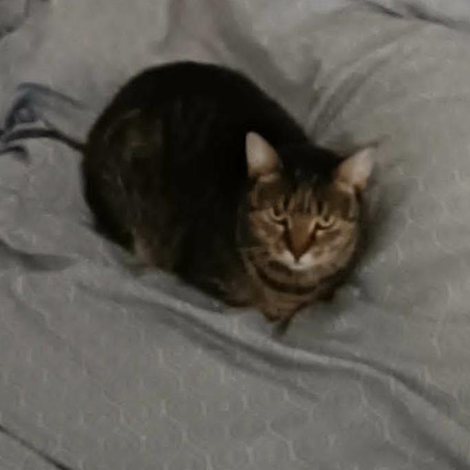 Mia