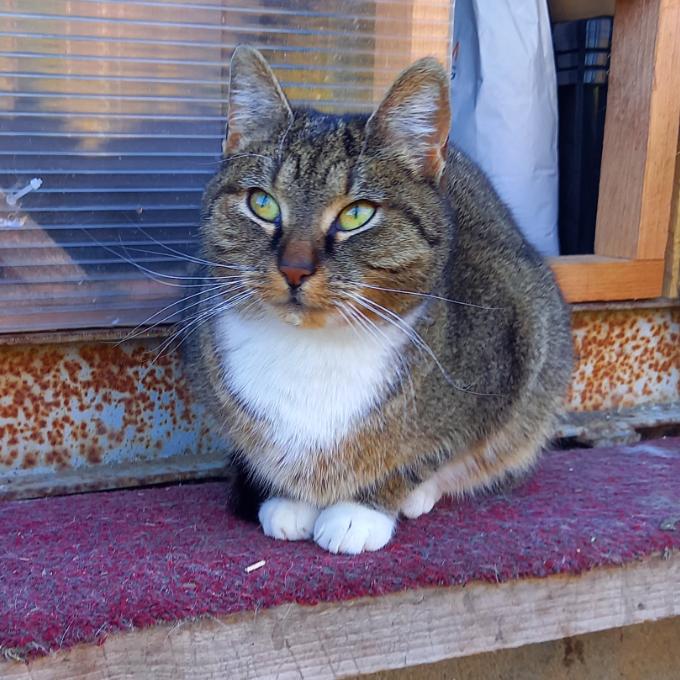 Lili