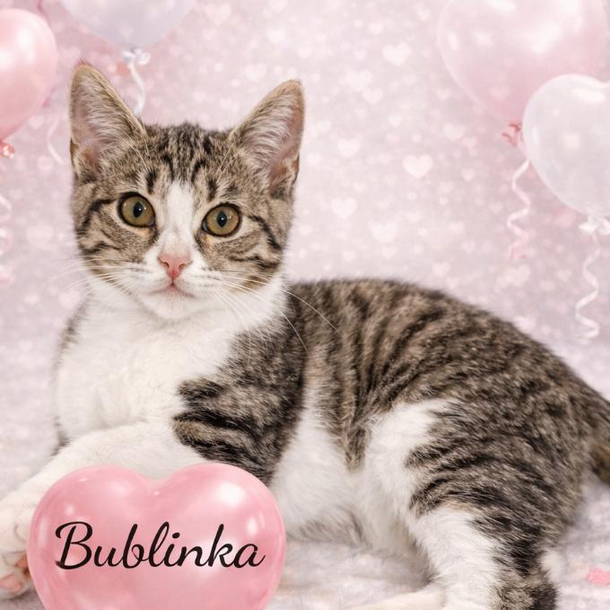 Bublinka