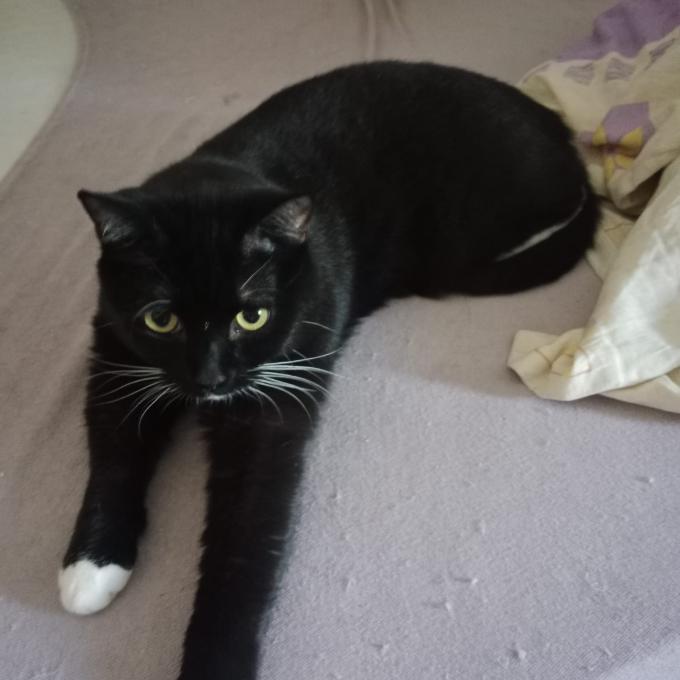 MONTY