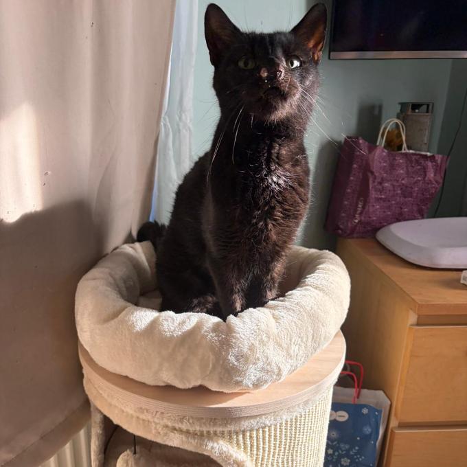 FRANKIE