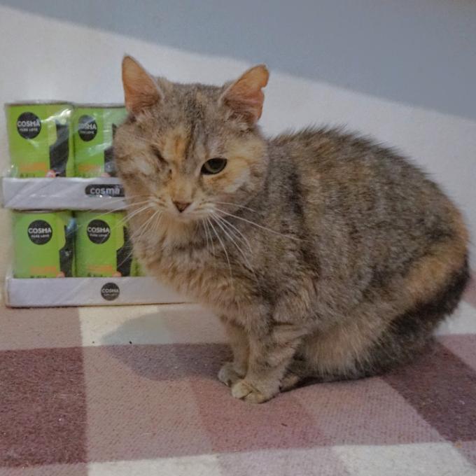 RONJA