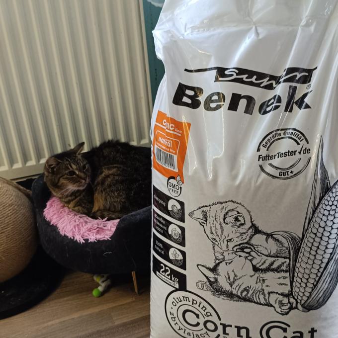 MYŠIČKA