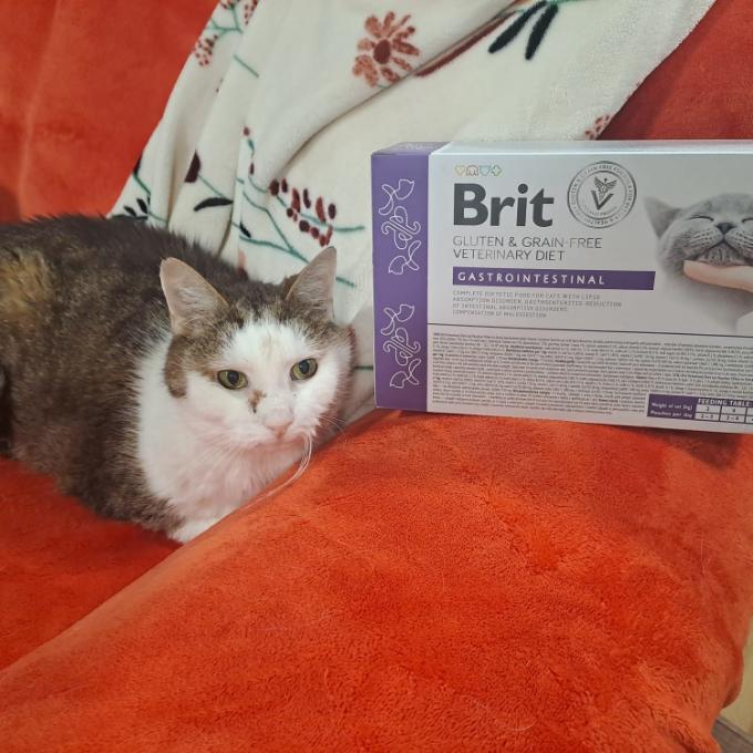 Bubu