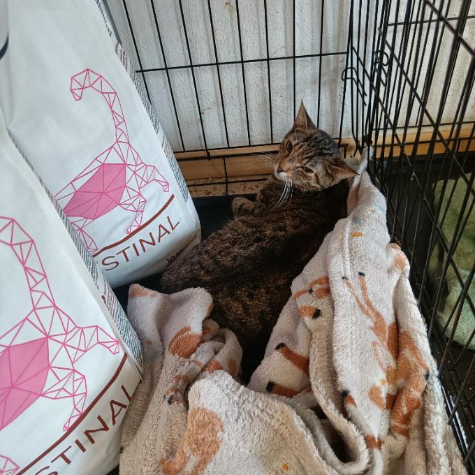 Berta