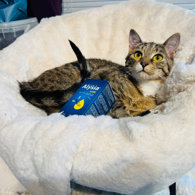 Nala