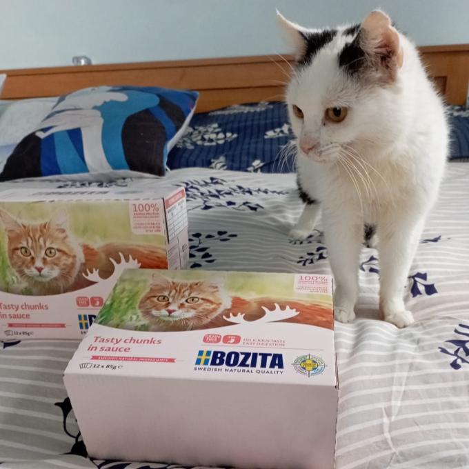 Simonka