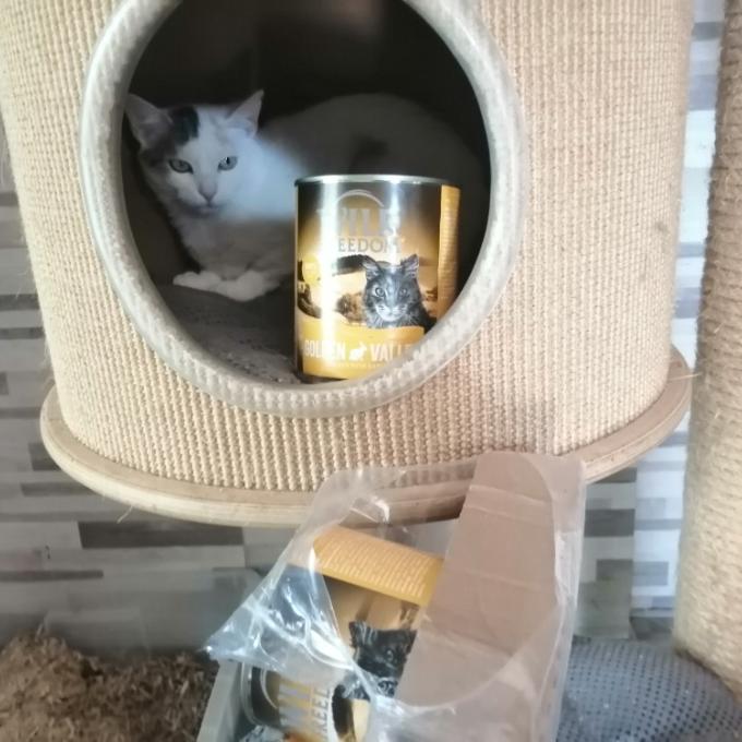 Miládka