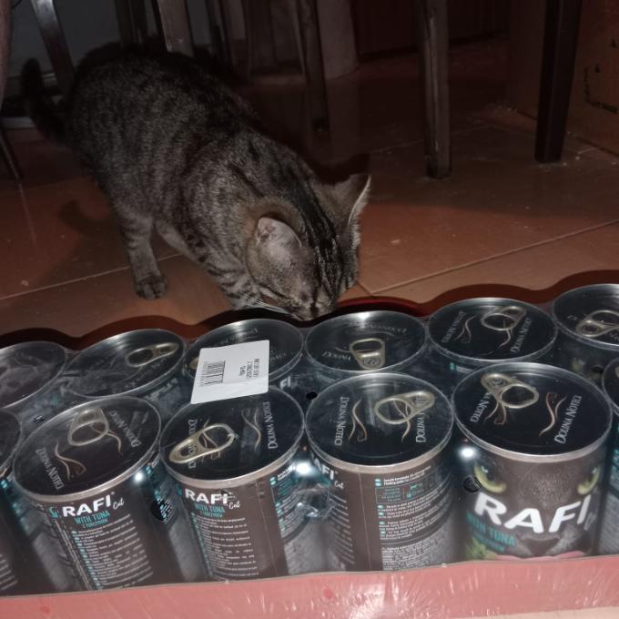 KAZI