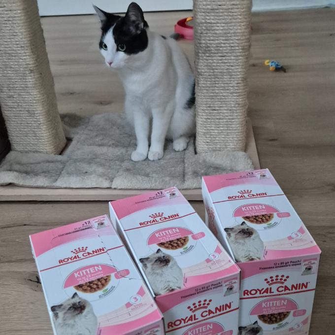 Mimi