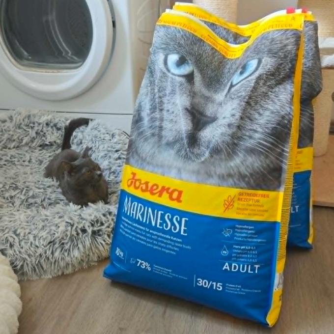 Šéďa