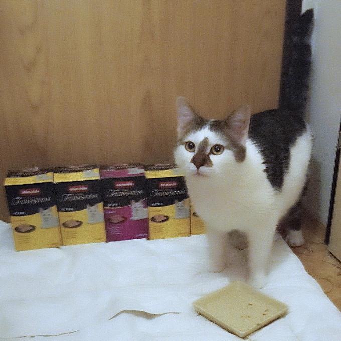 ŠIMONEK