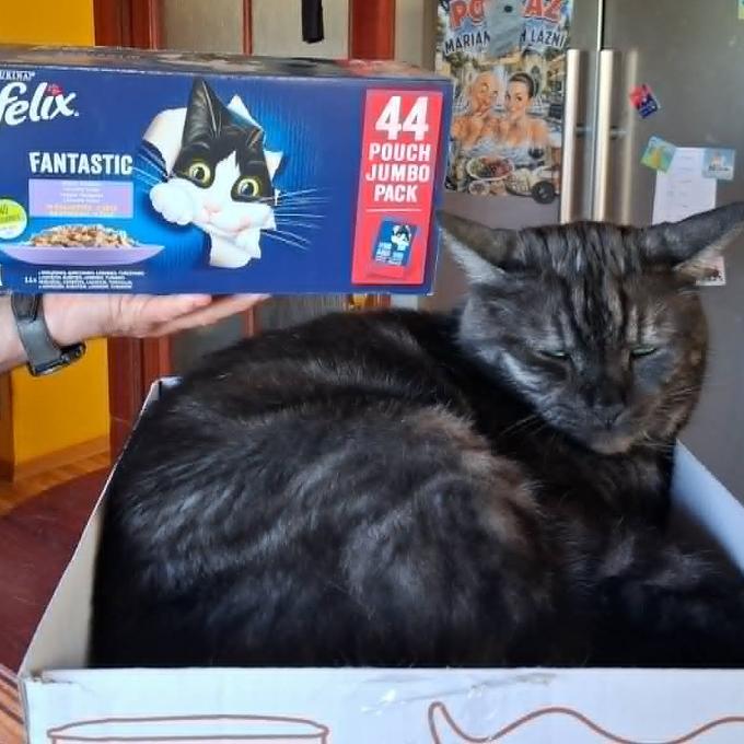 Buchtík