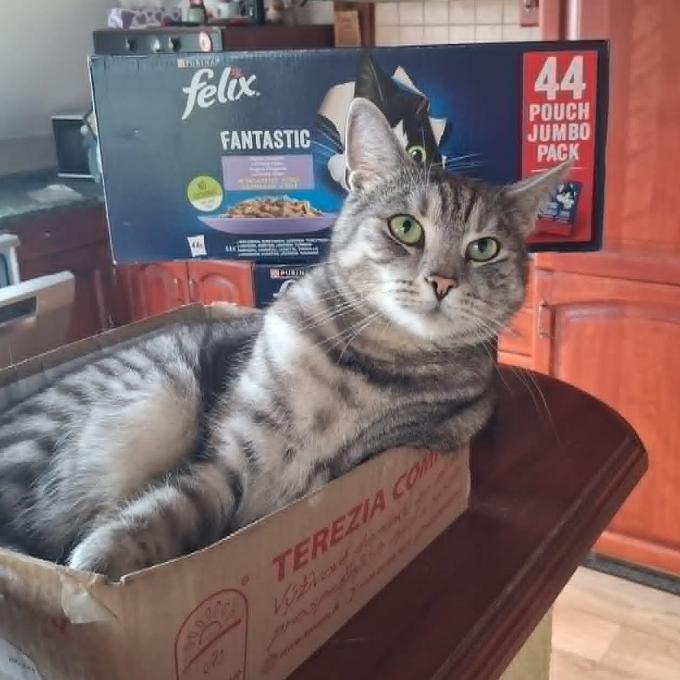 Péťa