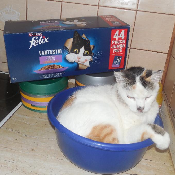 Mařenka