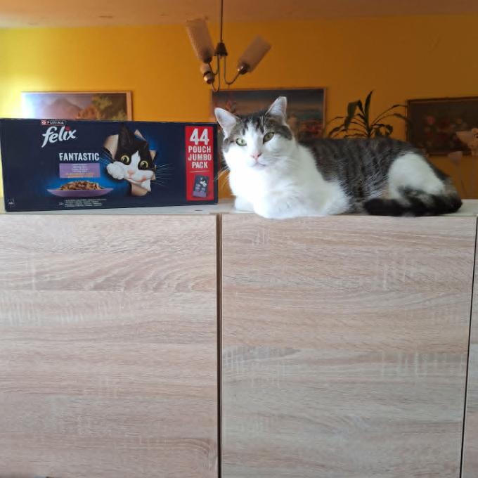 Lumpík