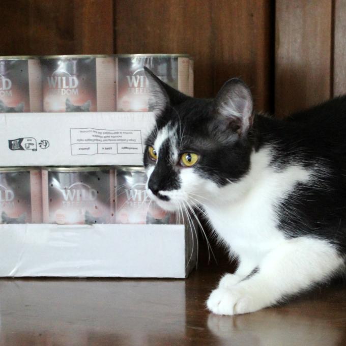 Jinxy