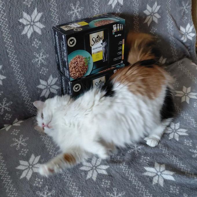 Mia