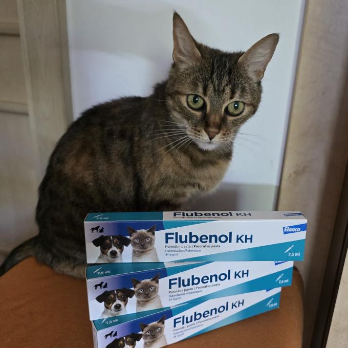Hubert