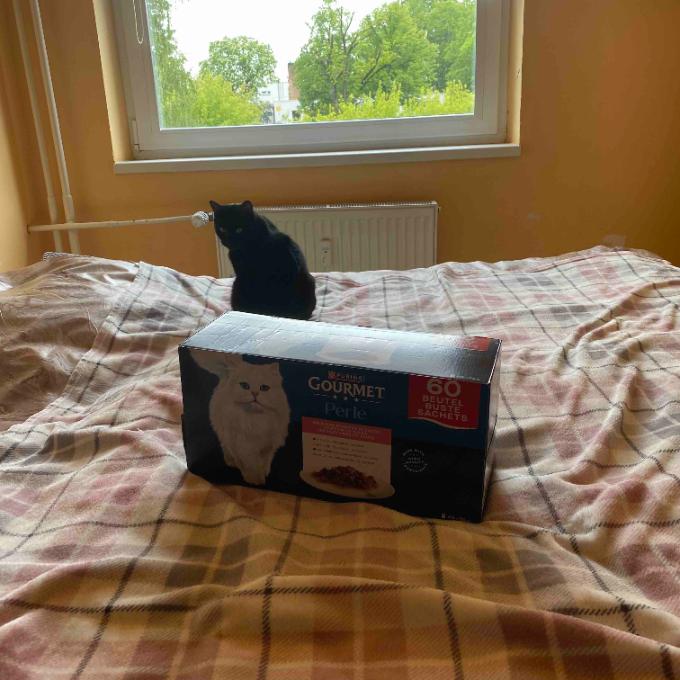 Béďa