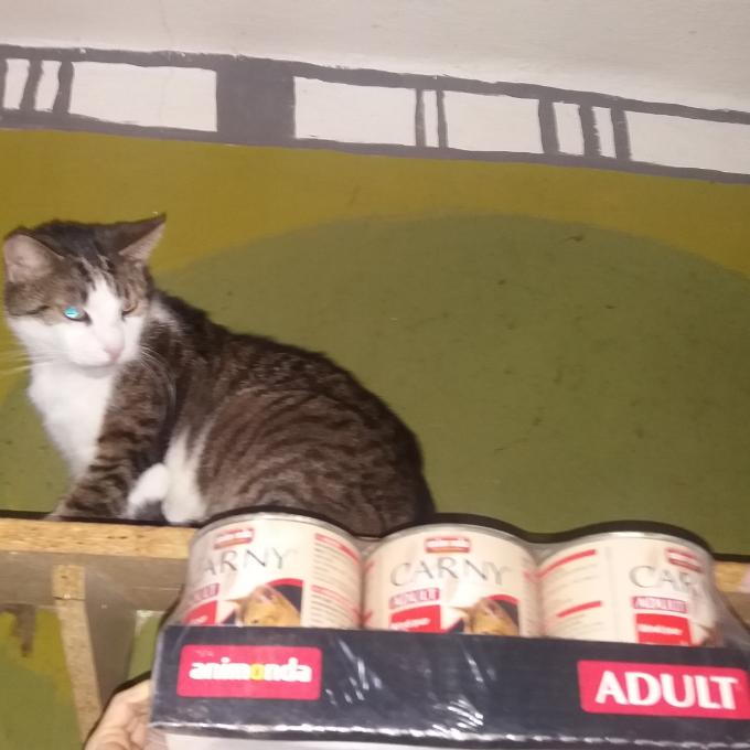 Čumáček