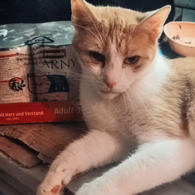Oskar