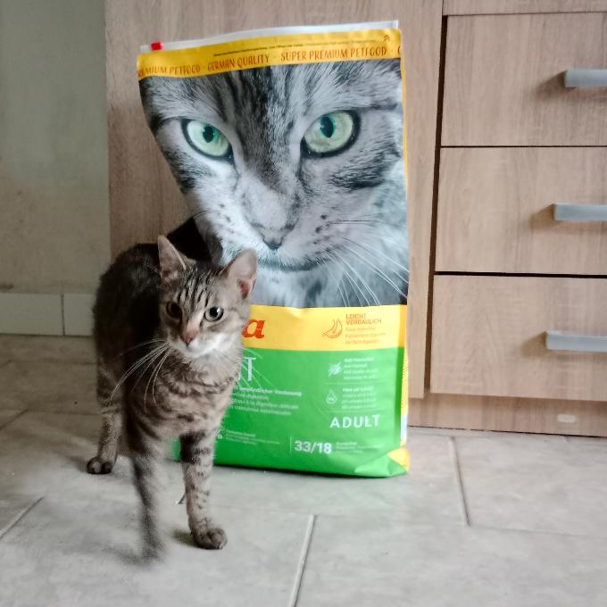 Pistácie