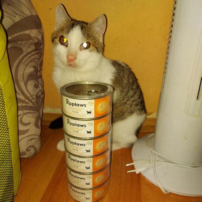 Jouda